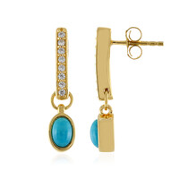 Pendientes en plata con Turquesa