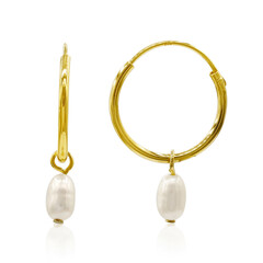 Pendientes en plata con Perla Freshwater