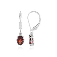 Pendientes en plata con Granate de la India