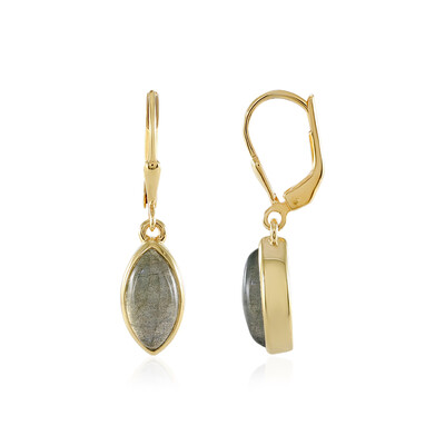Pendientes en plata con Labradorita