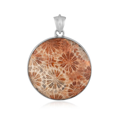 Colgante en plata con Piedra petoskey (Bali Barong)