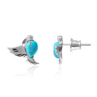Pendientes en plata con Turquesa