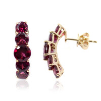 Pendientes en oro con Rodolita