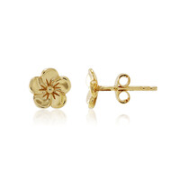 Pendientes en plata