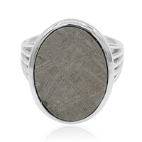 Anillo en plata con Meteorito metálico