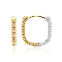 Pendientes en plata