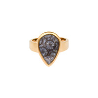 Anillo en plata con Piedra petoskey