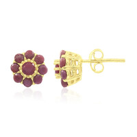 Pendientes en plata con Rubí