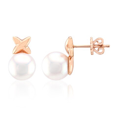 Pendientes en oro con Perla de Akoya (TPC)