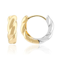 Pendientes en plata