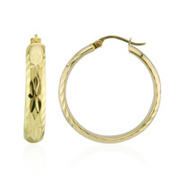 Pendientes en plata