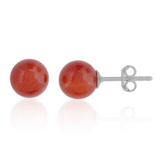 Pendientes en plata con Cornalina