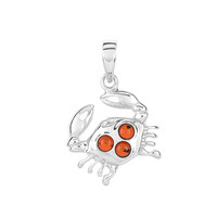 Colgante en plata con Ámbar báltico