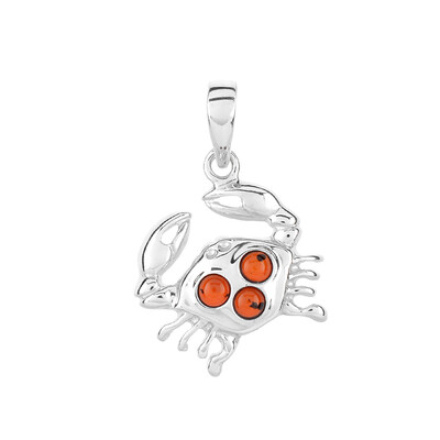 Colgante en plata con Ámbar báltico (dagen)