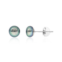 Pendientes en plata con Perla Freshwater