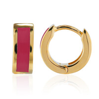 Pendientes en plata