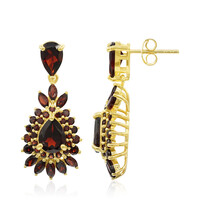Pendientes en plata con Granate