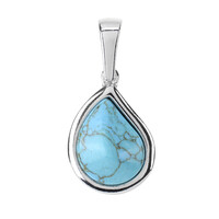 Colgante en plata con Turquesa