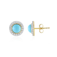 Pendientes en plata con Turquesa bella durmiente