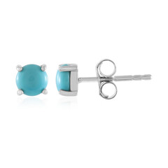Pendientes en plata con Turquesa bella durmiente