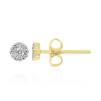 Pendientes en plata con Diamante I1 (G)