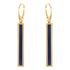 Pendientes en plata