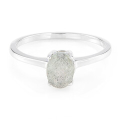 Anillo en plata con Labradorita