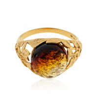 Anillo en plata con Ámbar báltico