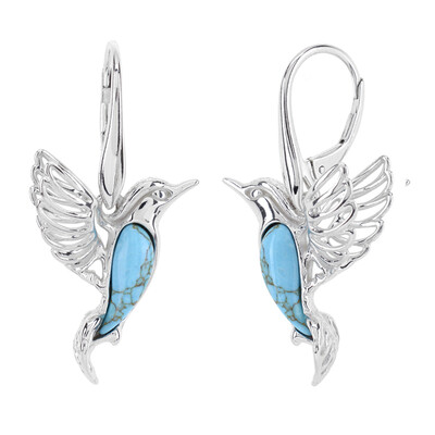 Pendientes en plata con Turquesa (dagen)