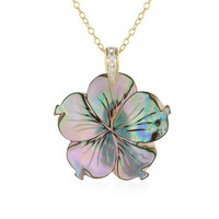 Collar en plata con Concha de Abalone (Gems en Vogue)