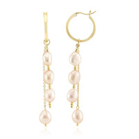 Pendientes en plata con Perla naranja Freshwater (TPC)