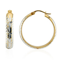 Pendientes en plata