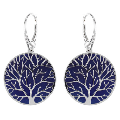 Pendientes en plata (dagen)