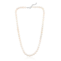 Collar en plata con Perla blanca Freshwater (TPC)