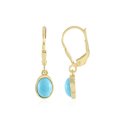 Pendientes en plata con Turquesa bella durmiente
