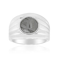 Anillo en plata con Meteorito Aletai