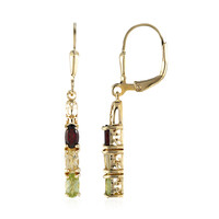 Pendientes en plata con Granate