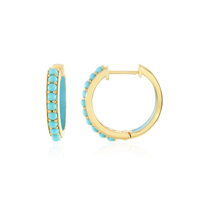 Pendientes en plata con Turquesa bella durmiente