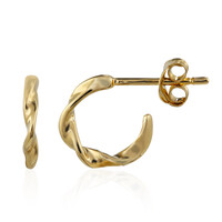 Pendientes en plata