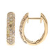 Pendientes en oro con Diamante fancy SI2 (CIRARI)