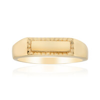 Anillo en plata