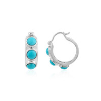 Pendientes en plata con Turquesa bella durmiente