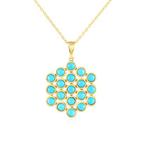 Collar en plata con Turquesa bella durmiente