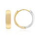 Pendientes en plata