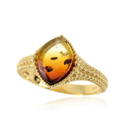 Anillo en plata con Ámbar báltico