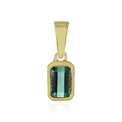 Colgante en plata con Turmalina verde Benedito(Adela Silber)