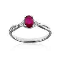Anillo en oro con Rubí de Mozambique AAA (CIRARI)