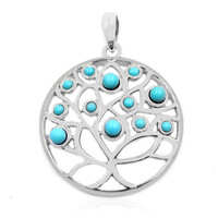 Colgante en plata con Turquesa bella durmiente (Anne Bever)