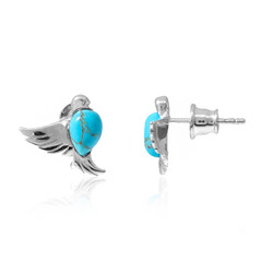 Pendientes en plata con Turquesa