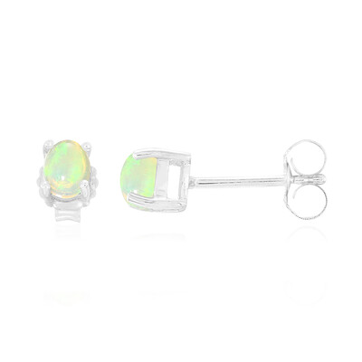 Pendientes en plata con Ópalo Welo AAA